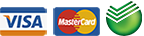       MasterCard/Maestro  Visa
