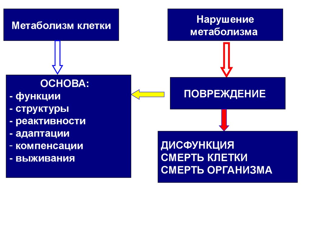 Нарушение метаболизма. Нарушение обмена веществ. Нарушение обменных процессов. Метаболизм клетки. Нарушение клеточного метаболизма.