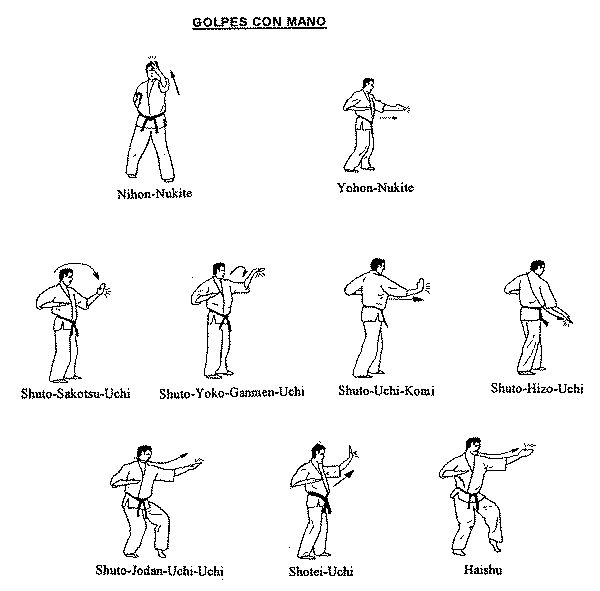 Удары руками в каратэ. Название ударов в каратэ Шотокан. Киокушинкай каратэ стойки блоки удары. Базовые стойки в каратэ Шотокан. Названия ударов в каратэ Шотокан для начинающих.