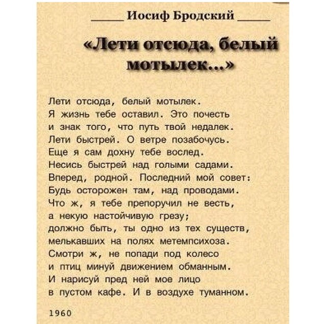 Иосиф бродский стихи. Стих мотылек Бродский. Лети отсюда белый мотылек Бродский. На руке его много блестящих колец Ахматова. Стихотворение бабочка Бродский.