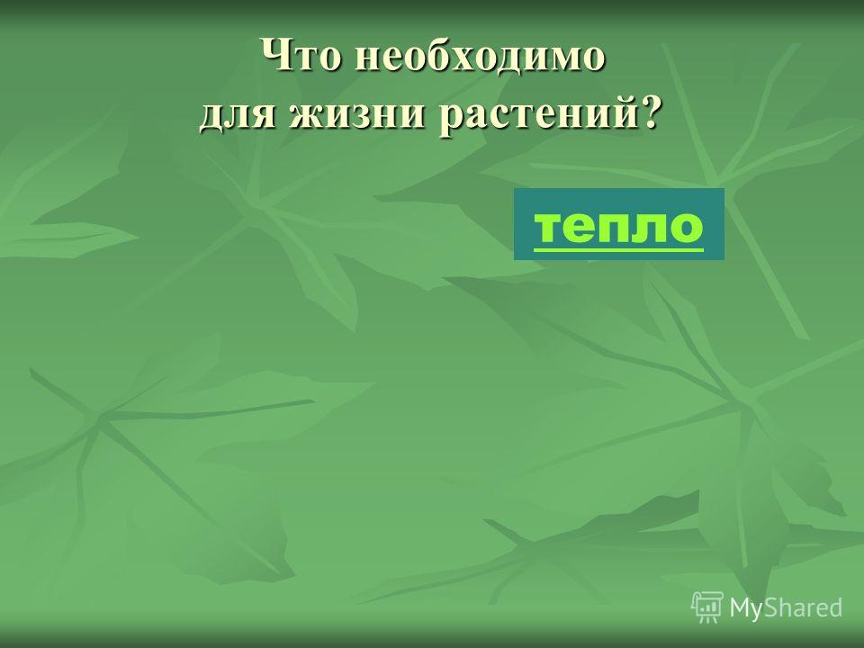 Растительная жизнь. Что необходимо растению для жизни. Жизнь растений.. Что требуется для жизни растений. Растения необходимые для жизни на земле.