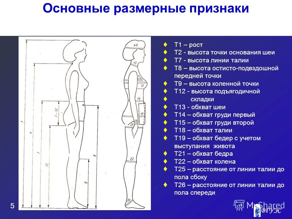 Горизонтальные мерки