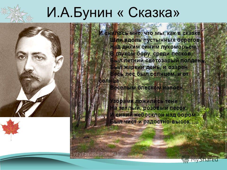 Стихотворения бунина алексеевича. Бунин, Иван Алексеевич природа. Иван Бунин на природе. Сказки Бунина. Бунин сказка.