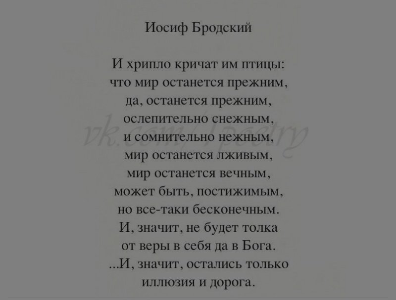 Стихотворения Иосифа Бродского. Бродский лучшие стихотворения.