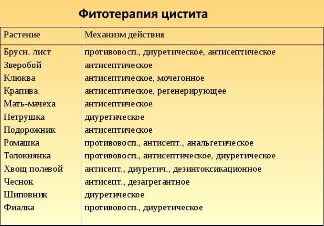 Чем лечить мочевой. Чем лечить цистит при беременности. Цистит у женщин. Лекарство при цистите у беременных женщин. Лечение цистита при беременности.