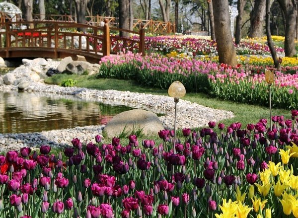 Парк Эмирган в дни Фестиваля тюльпанов