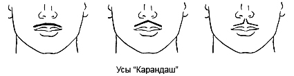 Усы "Карандаш"