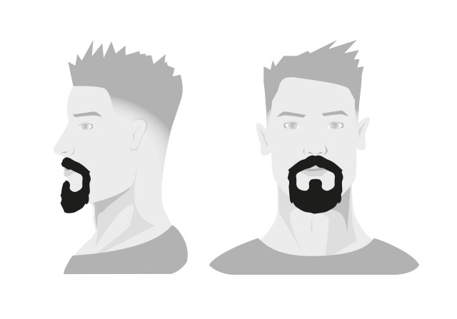 Типы бороды: борода генриха четвертого