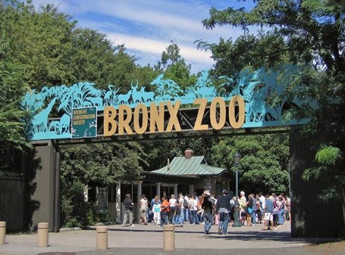 Топ-25: Крупнейшие зоопарки мира, которые вы наверняка захотите посетить