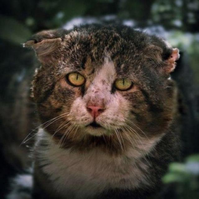 Дерзкие и брутальные