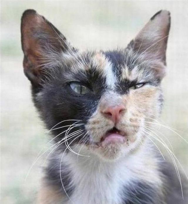 Дерзкие и брутальные