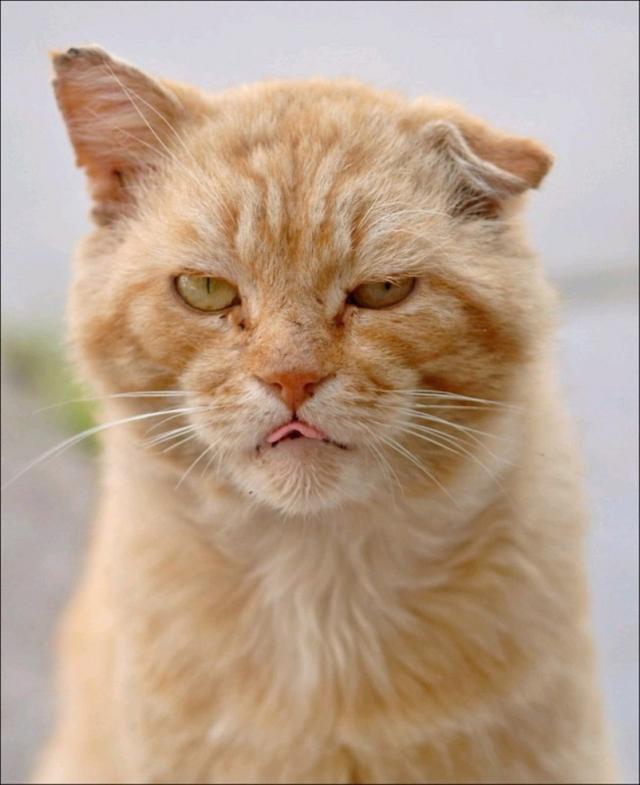 Дерзкие и брутальные