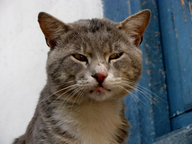 Дерзкие и брутальные