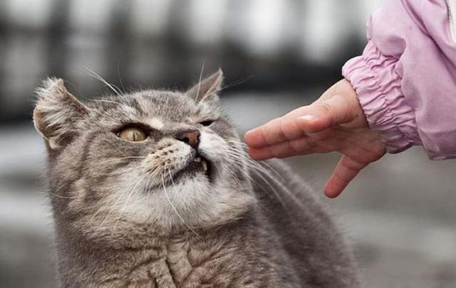 Дерзкие и брутальные Дерзкие и брутальные