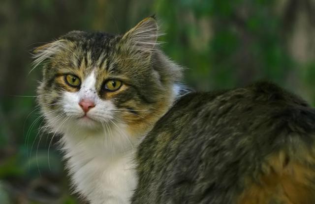 Дерзкие и брутальные