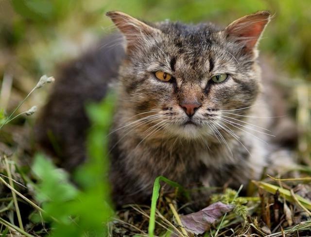 Дерзкие и брутальные