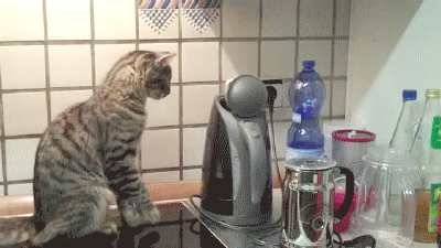 Как почистить чайник 