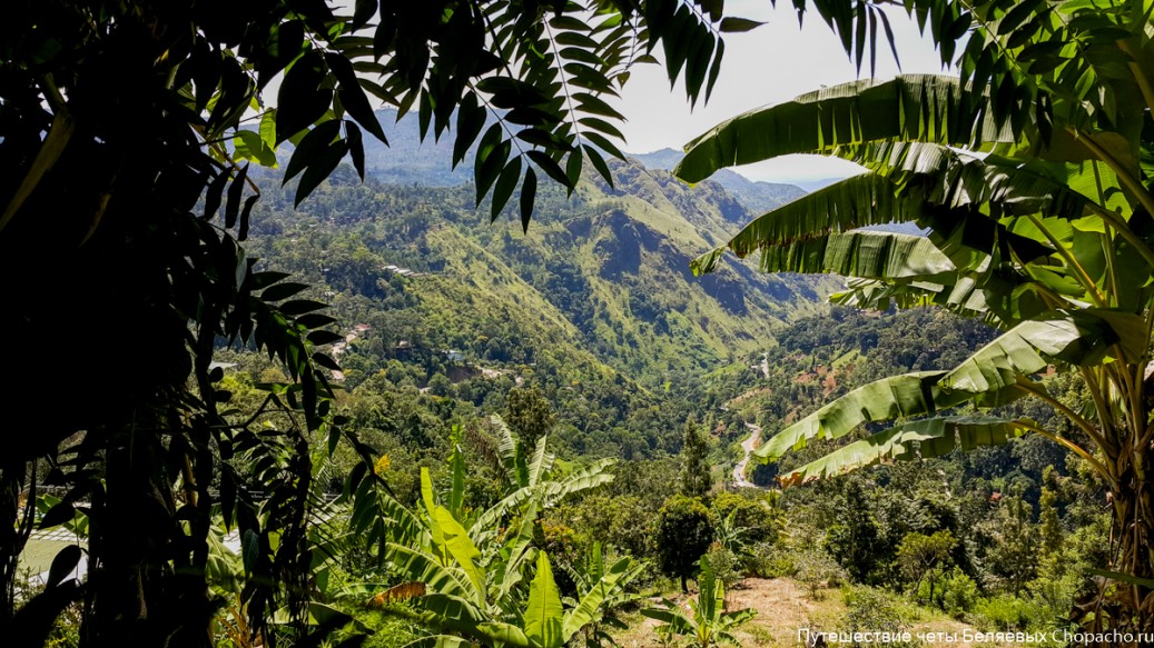 20150909_102355@1037x-