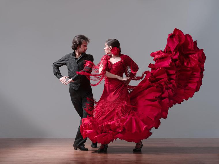 Часть испанской культуры: разнообразие танца фламенко, фото № 11