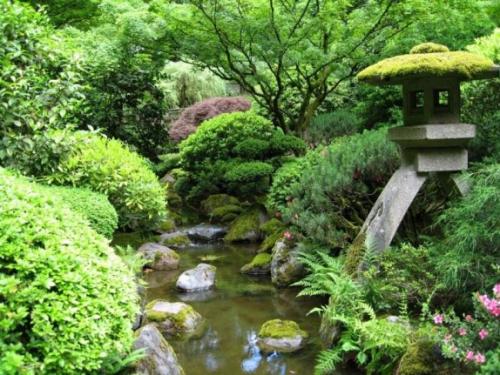Японский Сад в сибири. Что посадить в японском саду