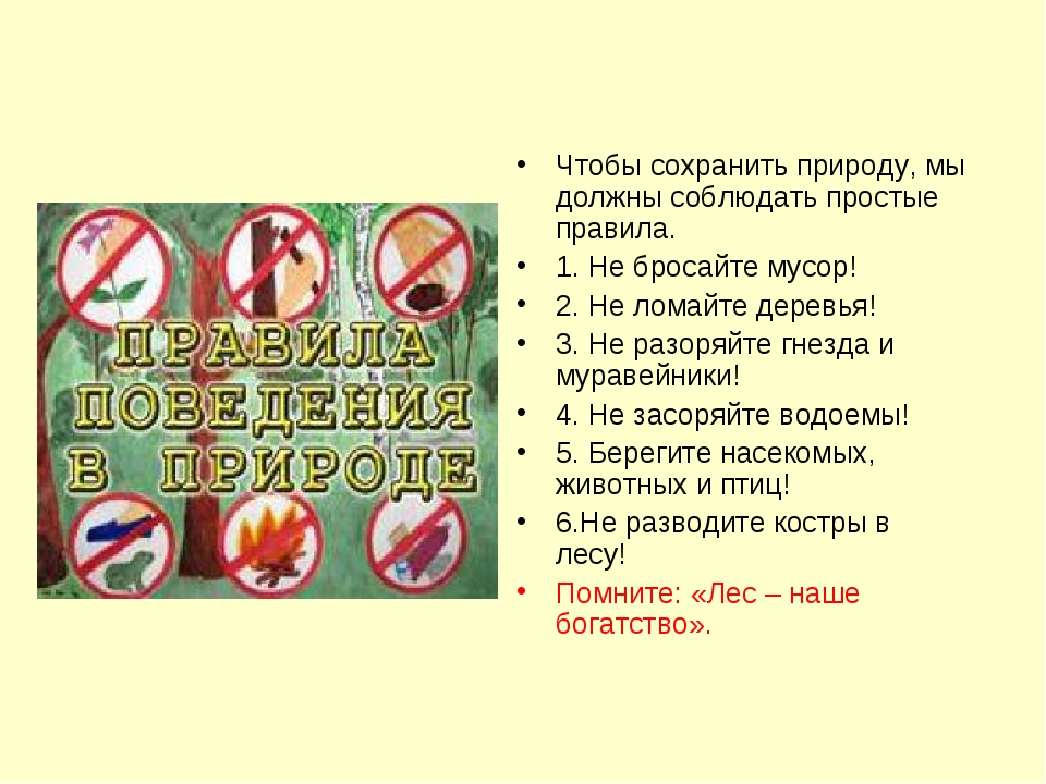 Что нужно делать чтобы сохранить природу. Правила сохранения природы. Что должен делать человек чтобы сохранить природу. Советы для сохранения природы.