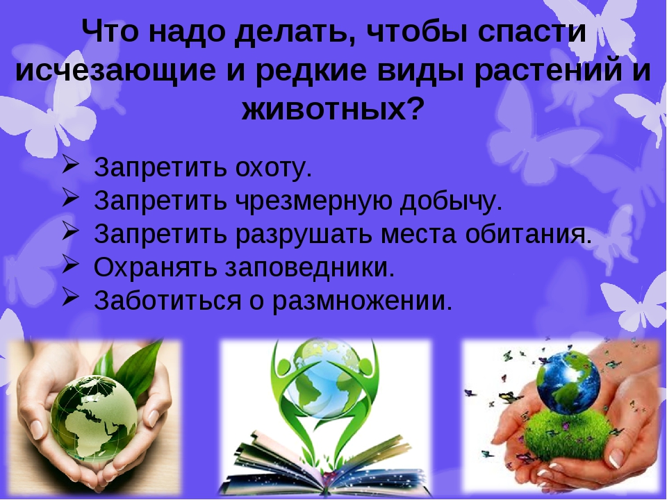 Сохраняй какой вид. Что надо делать чтобы спасти исчезающие и редкие виды животных. Спасение исчезающих видов растений и животных. Что нужно делать чтобы спасти редкие виды растений и животных. Спасти исчезающие виды растений и животных.