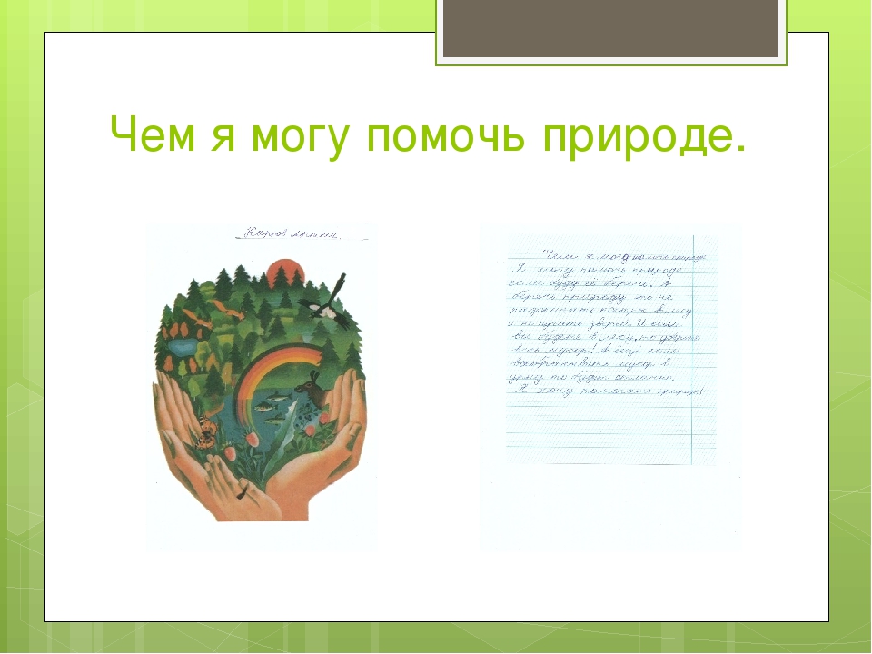 Чем могу помочь. Чем я могу помочь природе. Презентация что я могу помочь природе. Что я могу сделать чтобы помочь природе. Проект чем я могу помочь природе.