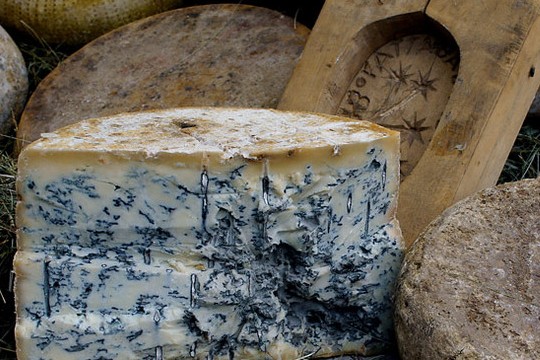 Голубая плесень придает сыру особенный вкус