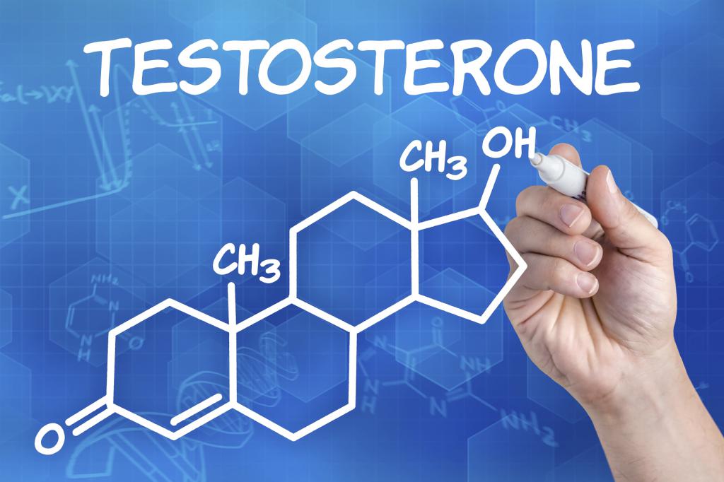 мужской гормон тестостерон
