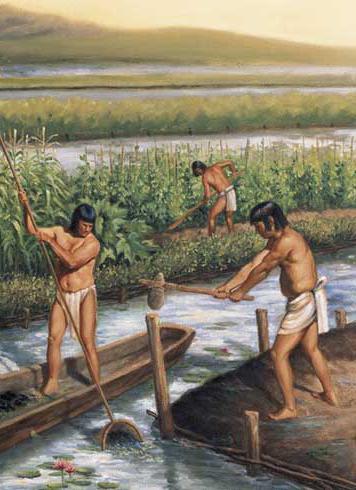история цивилизации майя
