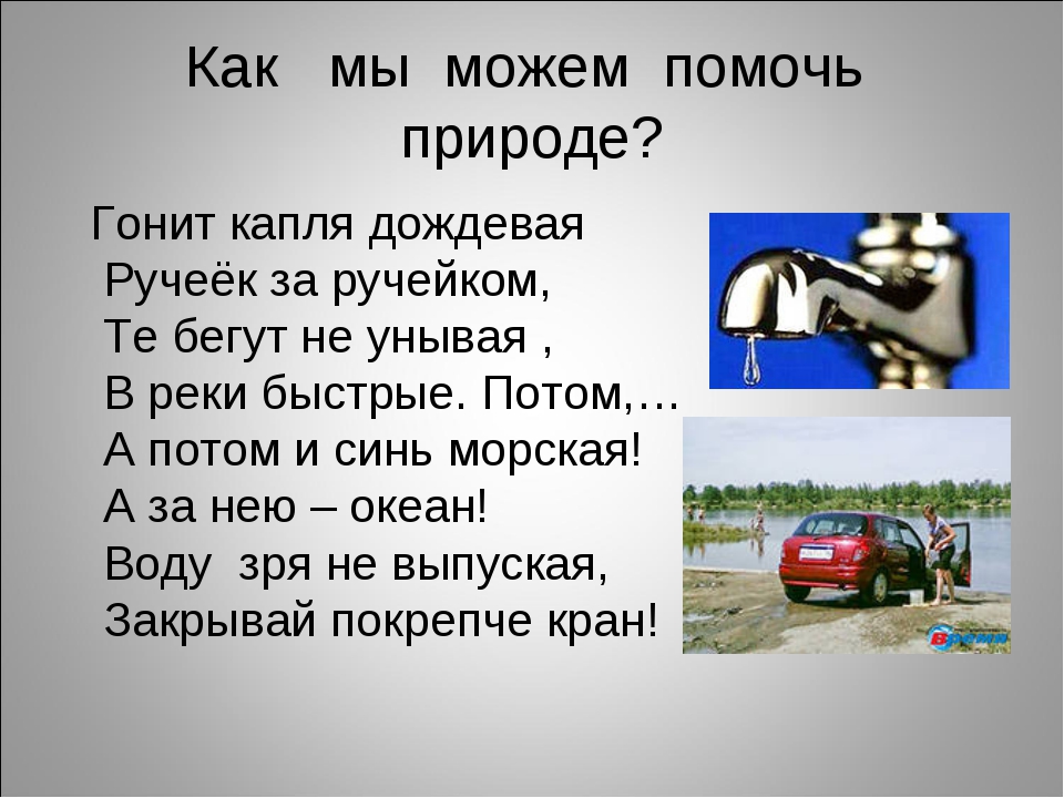 Сообщения помочь. Как помочь природе. Как мы можем помочь природе. Чем мы помогаем природе. Как человек может помочь природе.