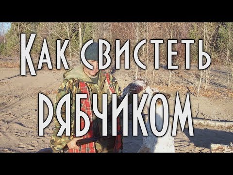 КАК СВИСТИТ РЯБЧИК Учимся подманивать рябчика. [4К] Охота 🐣