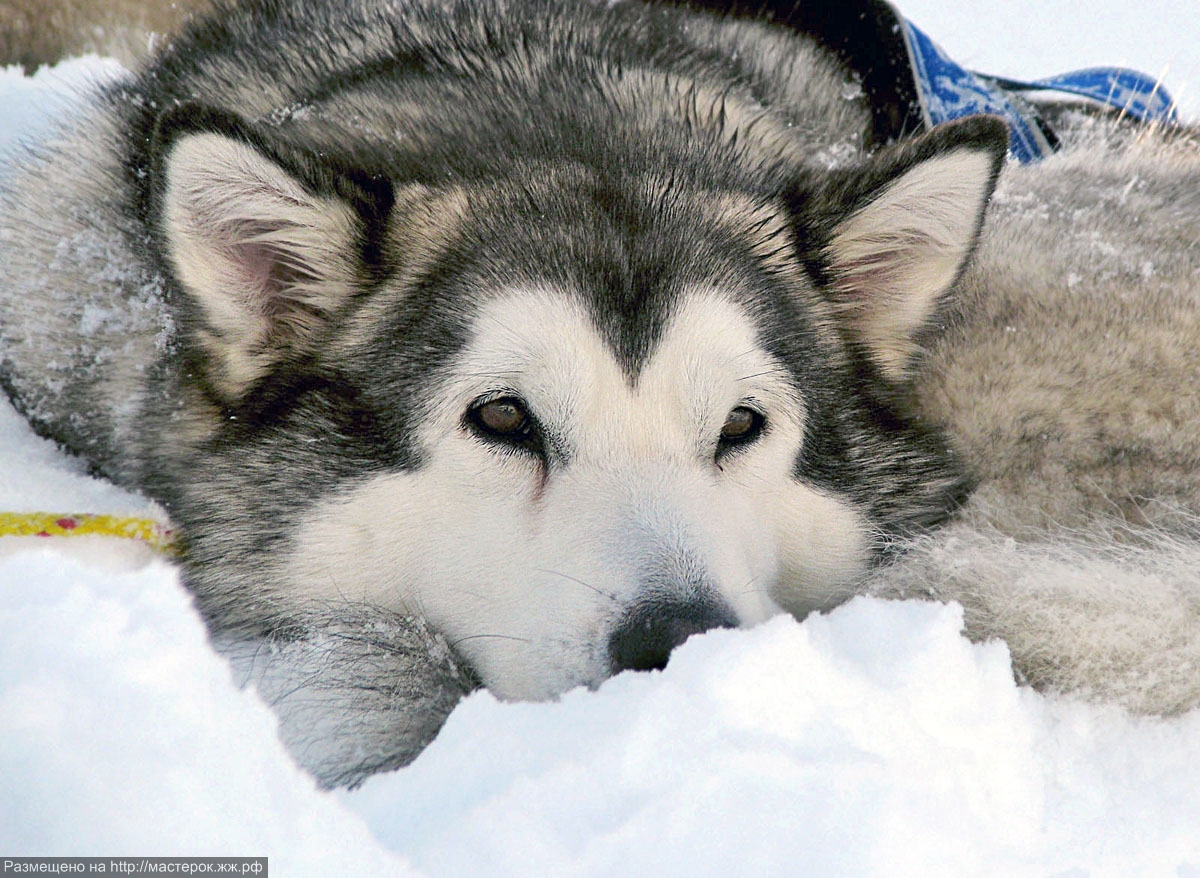 EIGHT BELOW