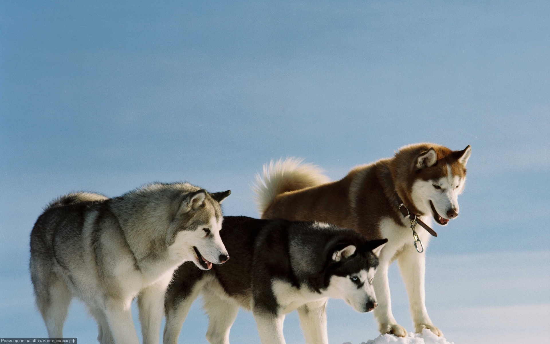 EIGHT BELOW