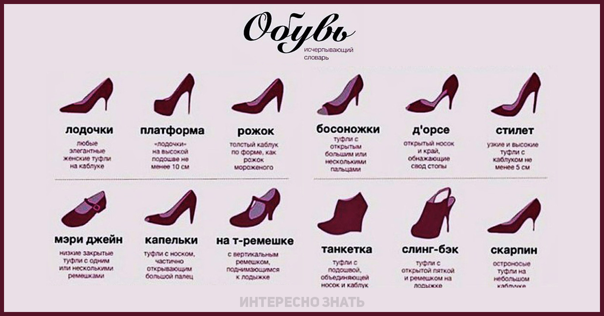 Название обуви список. Название туфель женских. Ботинки женские названия моделей. Современные названия обуви. Типы женской обуви.