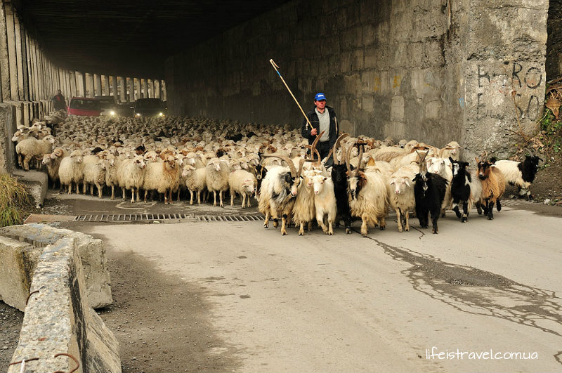Крестовый перевал Крестовый перевал