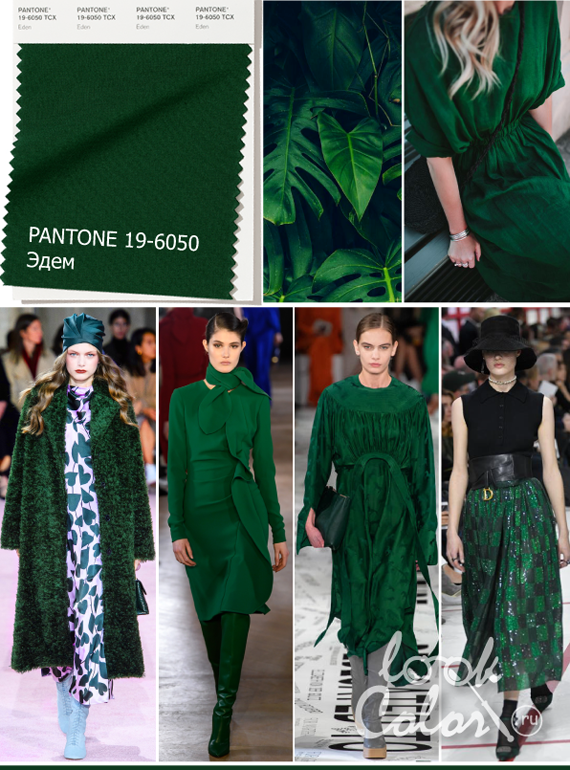 Модный темно-зеленый PANTONE 19-6050 Эдем Eden