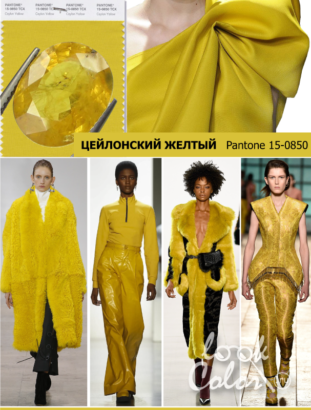 Модный цвет осень-зима 2018-2019 PANTONE 15-0850 Цейлонский Желтый (Ceylon Yellow)