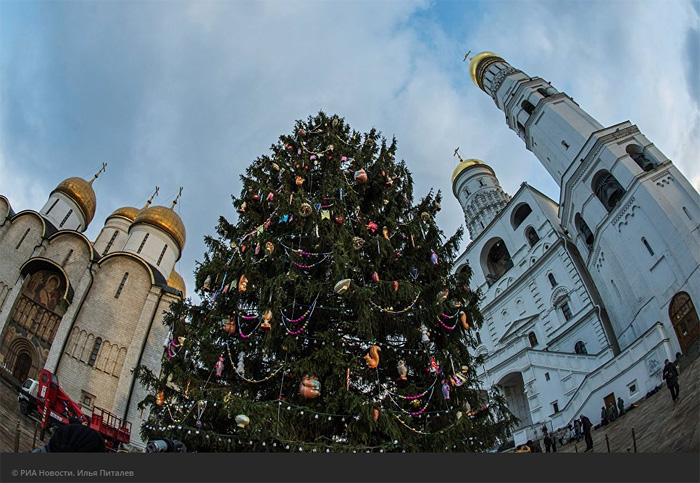 Самая дорогая елка в мире