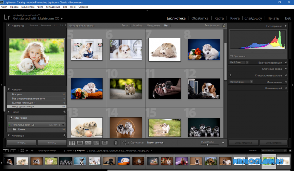 Adobe Photoshop Lightroom русская версия