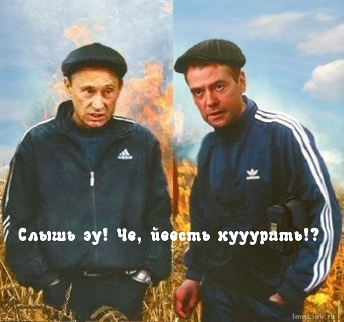 приколы про путина