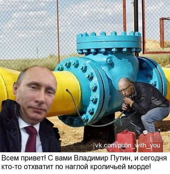 приколы про путина