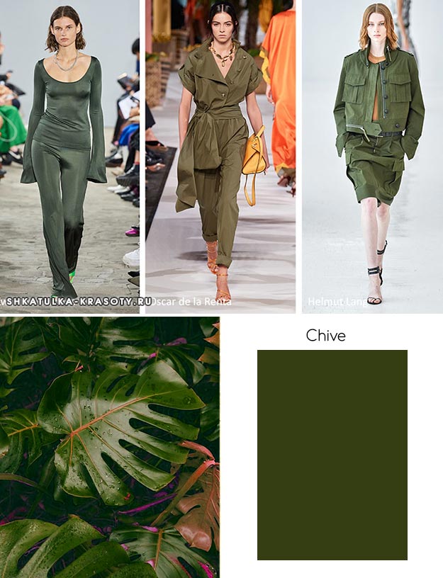 модный цвет весны лета 2020 Chive (Чесночный)