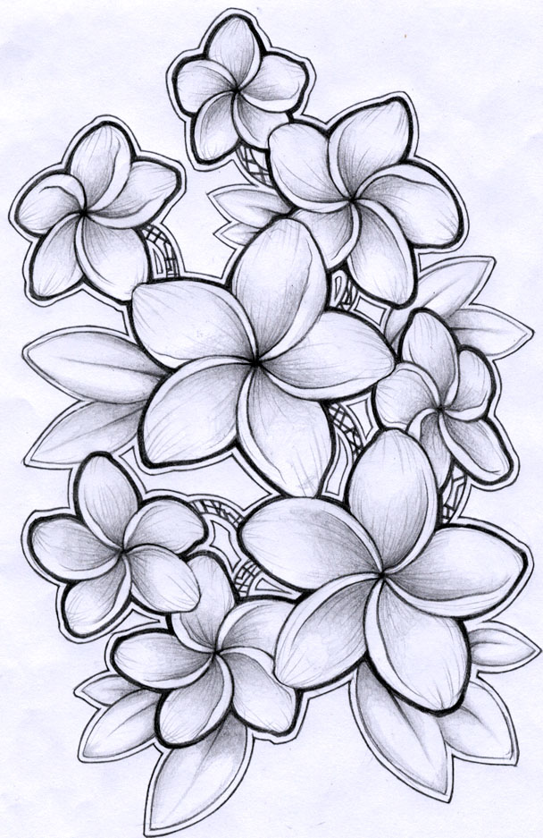 Весенние цветы рисунок карандашом