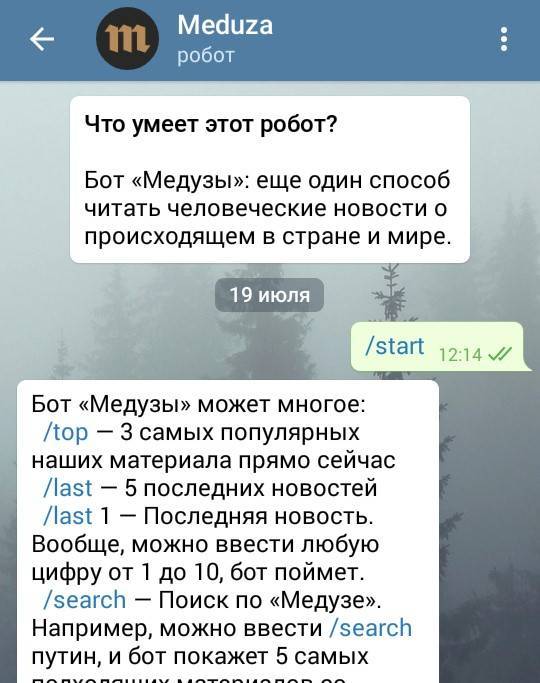 Бот «Медузы»