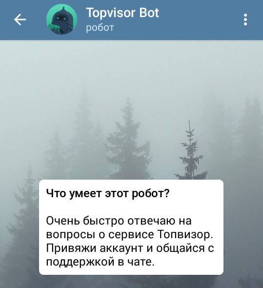 Бот «ТопВизора»