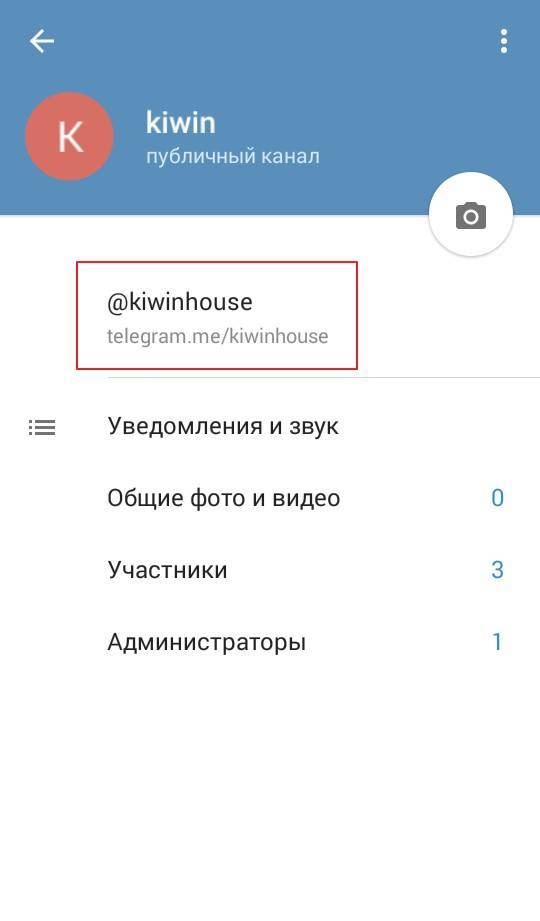 Вы можете копировать ссылку, отправить ее по e-mail или сохранить – например, на Google Диск