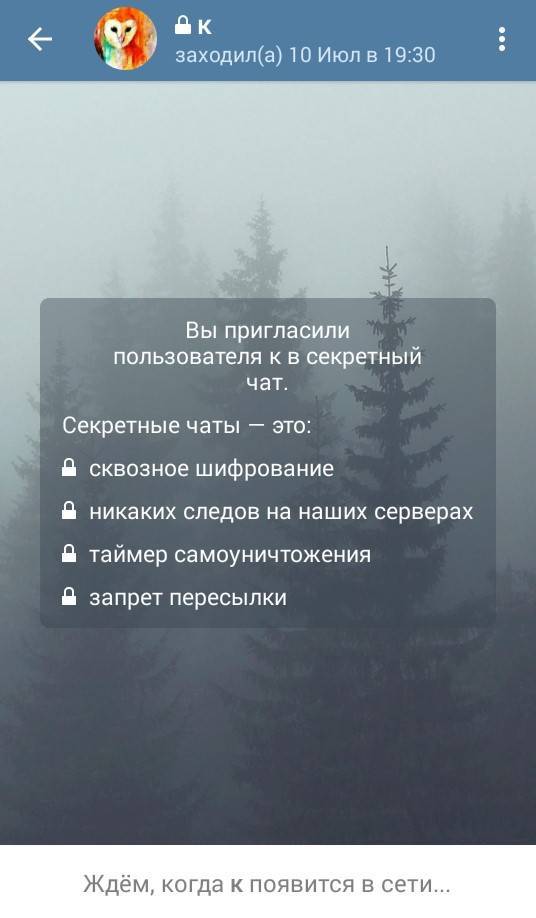 Пока пользователь не в сети, начать общение невозможно