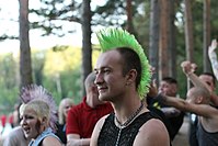 User-Ich with Mohawk.jpg