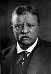 Americana 1920 Theodore Roosevelt.jpg